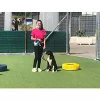 Foto dell\'animale COMUNE DI OTTAVIANO - 380260043702970