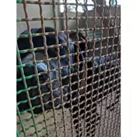 Foto dell\'animale COMUNE DI SALERNO - 380260101756674