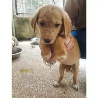 COMUNE DI SALERNO - 380260170246489