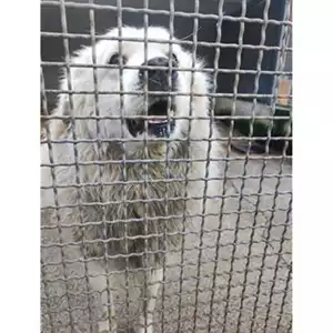 COMUNE DI SALERNO - 380260110022147