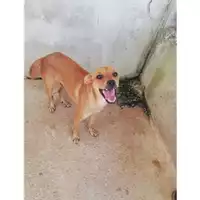 COMUNE DI SALERNO - 380260042782844