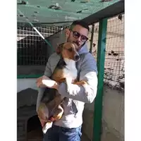Foto dell\'animale COMUNE DI SALERNO - 380260004056827