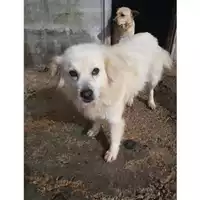 COMUNE DI SALERNO - 380260002227745
