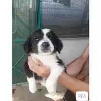 COMUNE DI SALERNO - 380260044671812