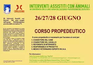 Locandina del corso CORSO PROPEDEUTICO I.A.A.