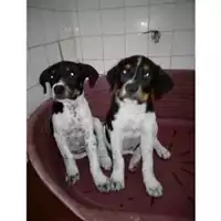 COMUNE DI SALERNO - 380260004057639