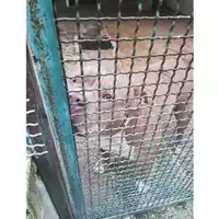 COMUNE DI SALERNO - 380260100194733