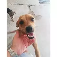 COMUNE DI SALERNO - 380260042782844