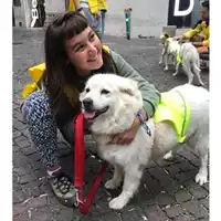 COMUNE DI SALERNO - 380260002227745