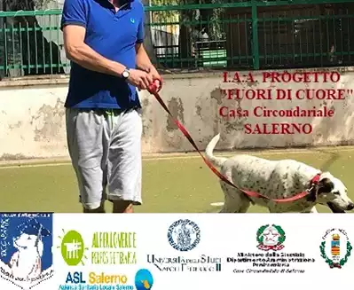 Content Progetto 
