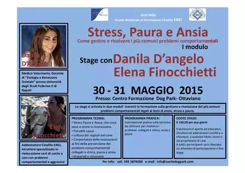 Content Stage Stress, Paura e Ansia