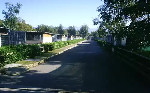 Foto del punto vendita Dog Park Ottaviano